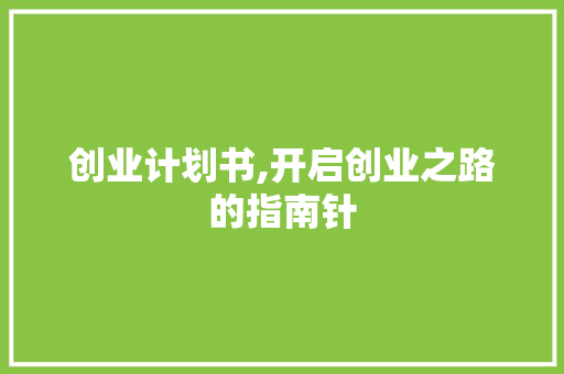 创业计划书,开启创业之路的指南针