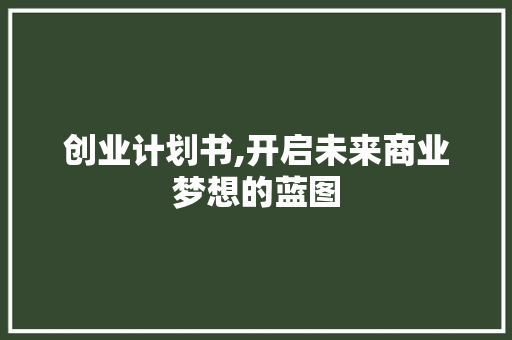 创业计划书,开启未来商业梦想的蓝图