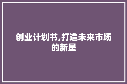 创业计划书,打造未来市场的新星