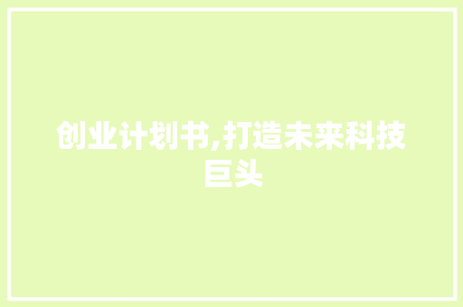 创业计划书,打造未来科技巨头