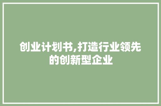 创业计划书,打造行业领先的创新型企业