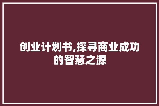 创业计划书,探寻商业成功的智慧之源