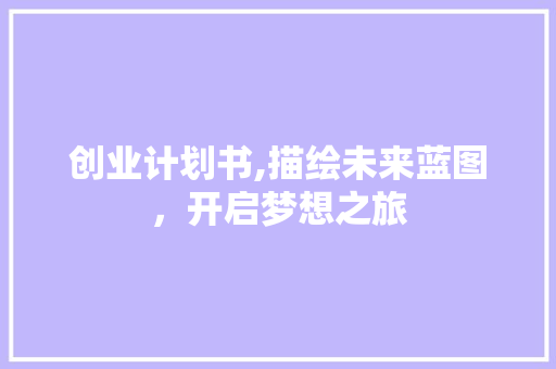 创业计划书,描绘未来蓝图，开启梦想之旅