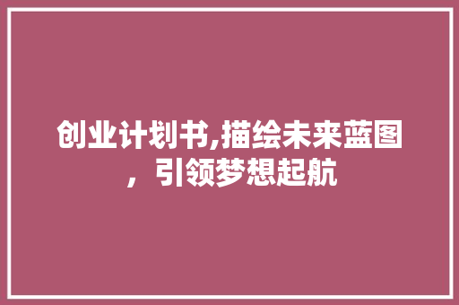 创业计划书,描绘未来蓝图，引领梦想起航 工作总结