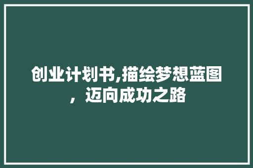 创业计划书,描绘梦想蓝图，迈向成功之路