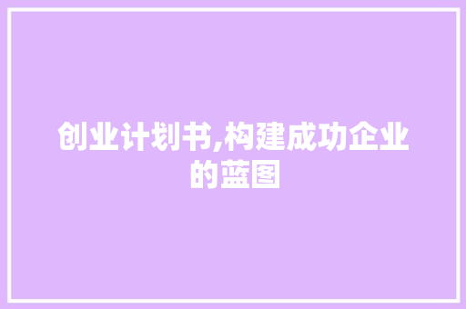 创业计划书,构建成功企业的蓝图