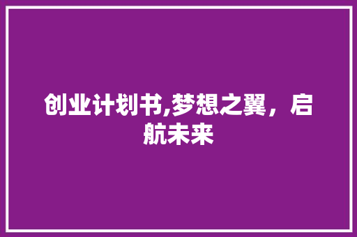 创业计划书,梦想之翼，启航未来