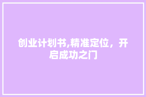 创业计划书,精准定位，开启成功之门