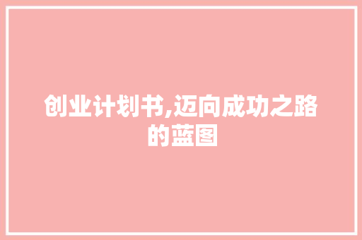 创业计划书,迈向成功之路的蓝图