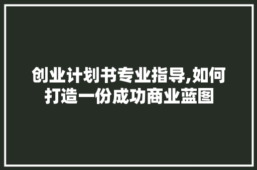 创业计划书专业指导,如何打造一份成功商业蓝图