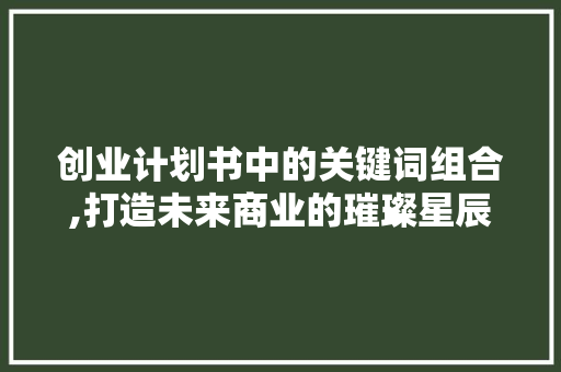 创业计划书中的关键词组合,打造未来商业的璀璨星辰