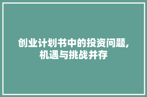 创业计划书中的投资问题,机遇与挑战并存