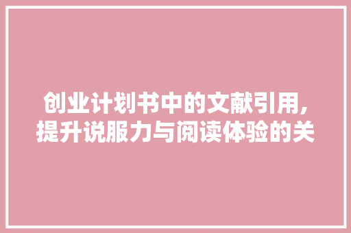 创业计划书中的文献引用,提升说服力与阅读体验的关键
