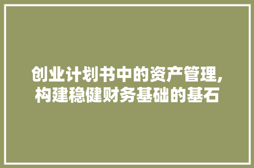 创业计划书中的资产管理,构建稳健财务基础的基石