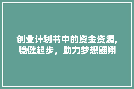 创业计划书中的资金资源,稳健起步，助力梦想翱翔 社交媒体