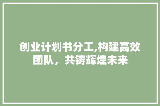 创业计划书分工,构建高效团队，共铸辉煌未来