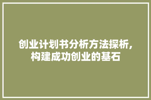 创业计划书分析方法探析,构建成功创业的基石
