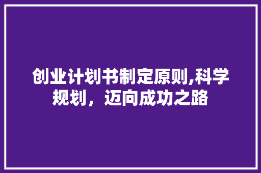 创业计划书制定原则,科学规划，迈向成功之路
