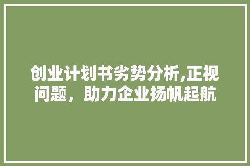 创业计划书劣势分析,正视问题，助力企业扬帆起航