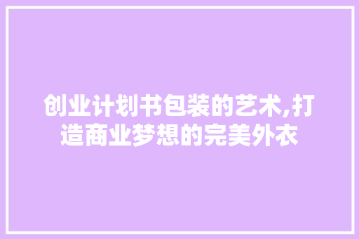 创业计划书包装的艺术,打造商业梦想的完美外衣