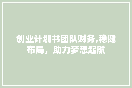 创业计划书团队财务,稳健布局，助力梦想起航