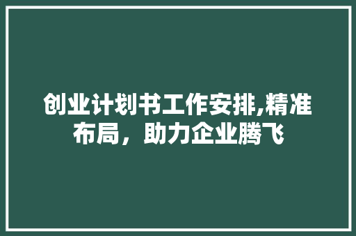 创业计划书工作安排,精准布局，助力企业腾飞