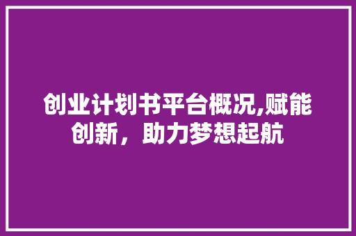 创业计划书平台概况,赋能创新，助力梦想起航