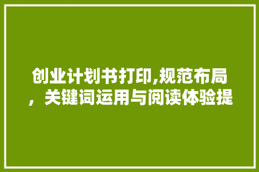 创业计划书打印,规范布局，关键词运用与阅读体验提升