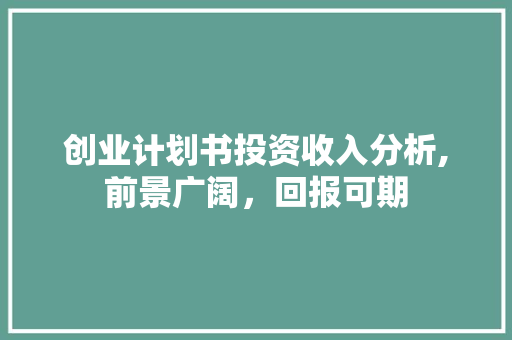 创业计划书投资收入分析,前景广阔，回报可期