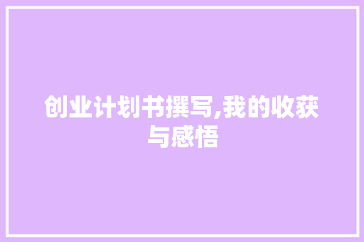 创业计划书撰写,我的收获与感悟