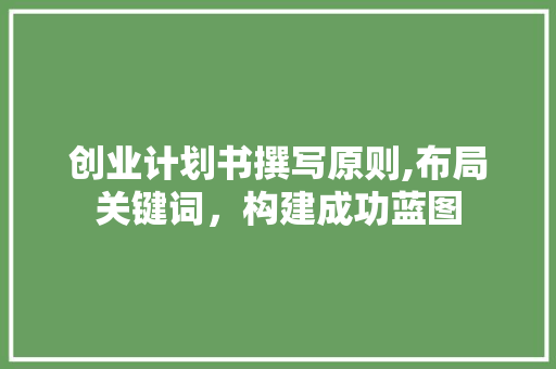 创业计划书撰写原则,布局关键词，构建成功蓝图