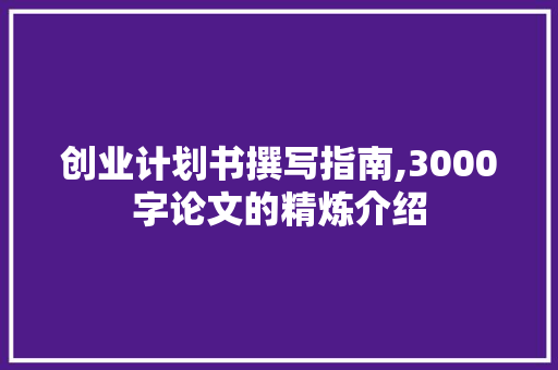 创业计划书撰写指南,3000字论文的精炼介绍