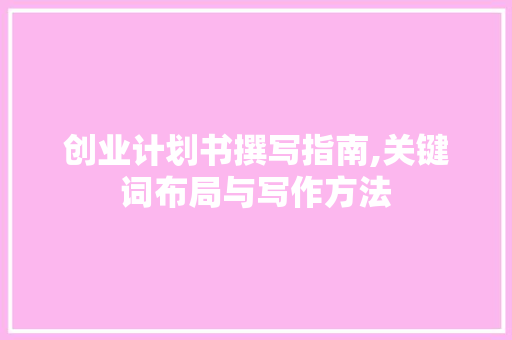 创业计划书撰写指南,关键词布局与写作方法