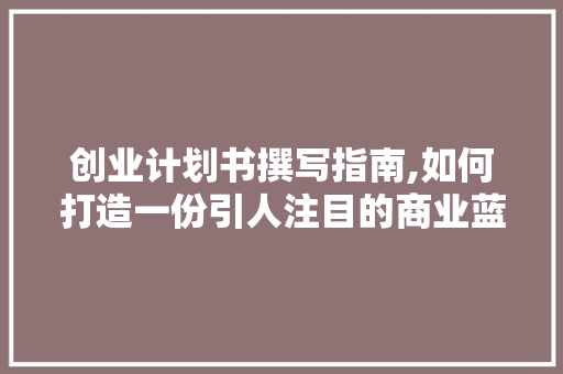 创业计划书撰写指南,如何打造一份引人注目的商业蓝图