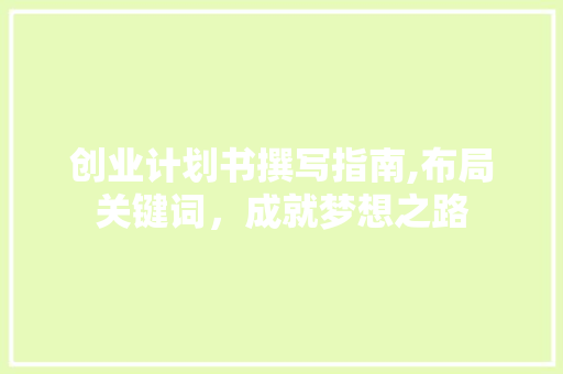 创业计划书撰写指南,布局关键词，成就梦想之路