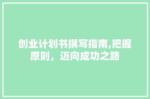创业计划书撰写指南,把握原则，迈向成功之路