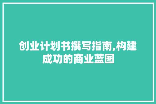 创业计划书撰写指南,构建成功的商业蓝图