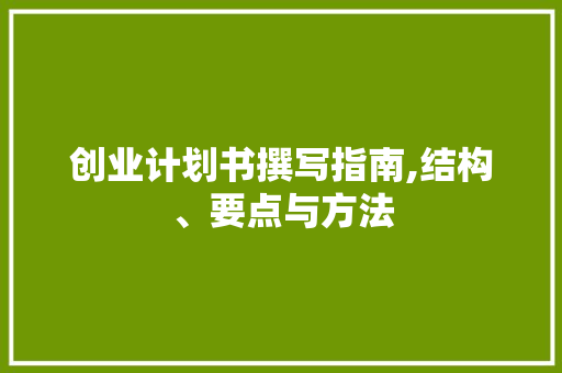 创业计划书撰写指南,结构、要点与方法