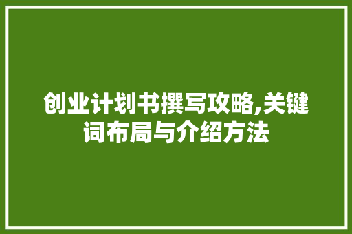 创业计划书撰写攻略,关键词布局与介绍方法