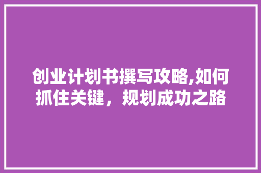 创业计划书撰写攻略,如何抓住关键，规划成功之路