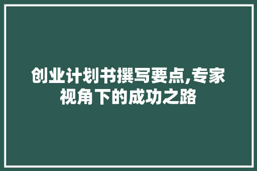 创业计划书撰写要点,专家视角下的成功之路
