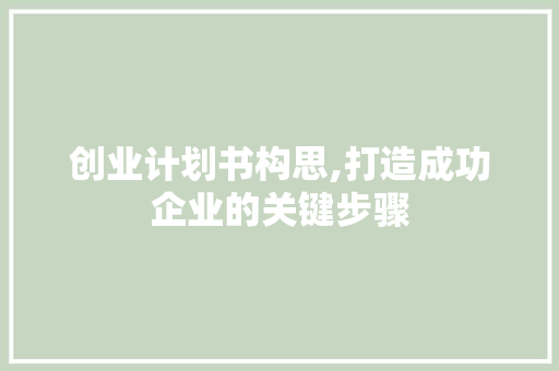 创业计划书构思,打造成功企业的关键步骤