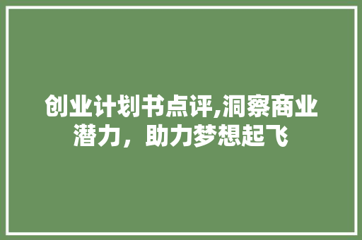 创业计划书点评,洞察商业潜力，助力梦想起飞