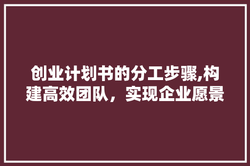创业计划书的分工步骤,构建高效团队，实现企业愿景