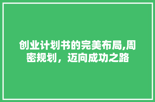 创业计划书的完美布局,周密规划，迈向成功之路