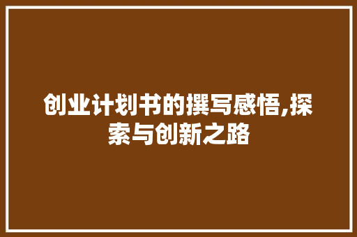 创业计划书的撰写感悟,探索与创新之路