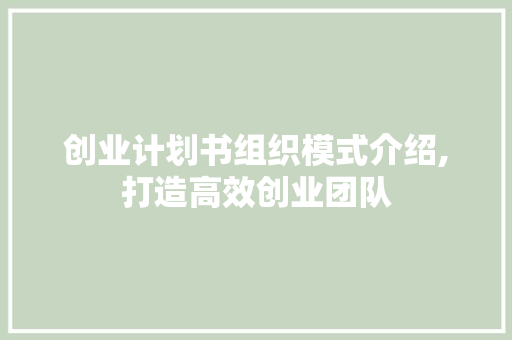 创业计划书组织模式介绍,打造高效创业团队