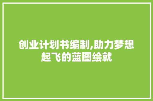创业计划书编制,助力梦想起飞的蓝图绘就