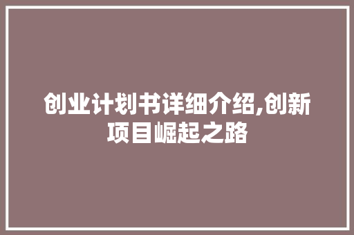 创业计划书详细介绍,创新项目崛起之路