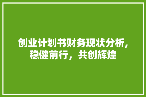 创业计划书财务现状分析,稳健前行，共创辉煌